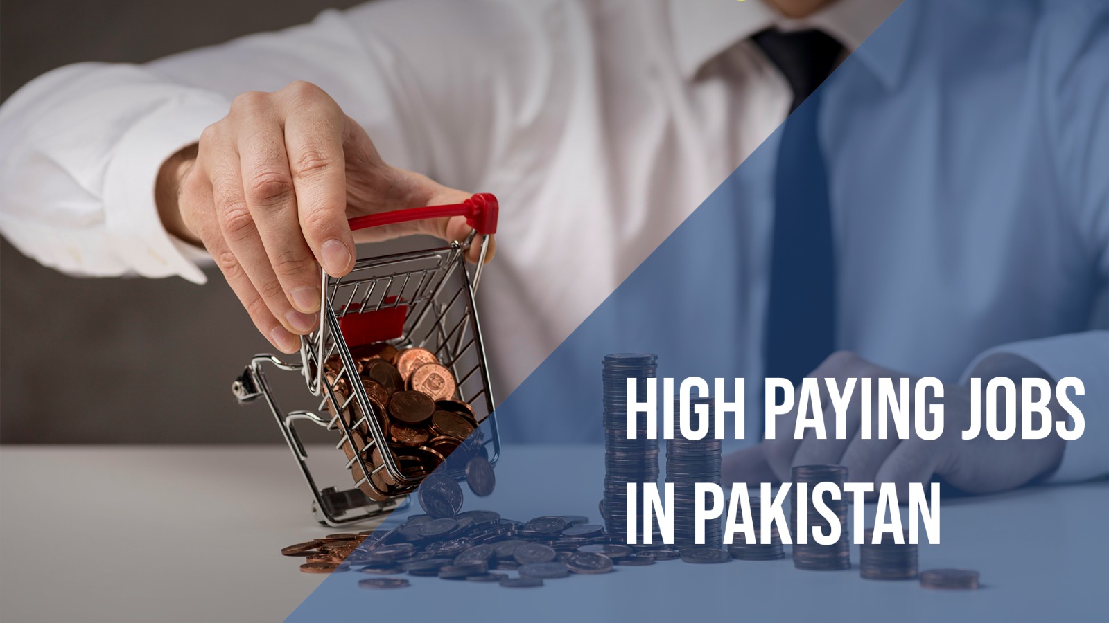 Top 20 Highest paying jobs for fresh graduates in Pakistan